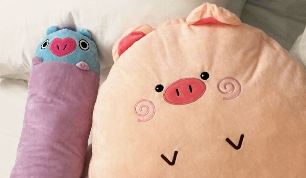 An image showing two plushies